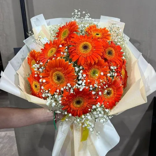 Ramo de 12 flores gerberas con isofilas y papel coreano